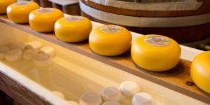 Henri Willig Cheese
