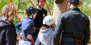 Fun Forest