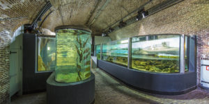 Fort Kijkduin
