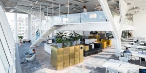 Firm Architects