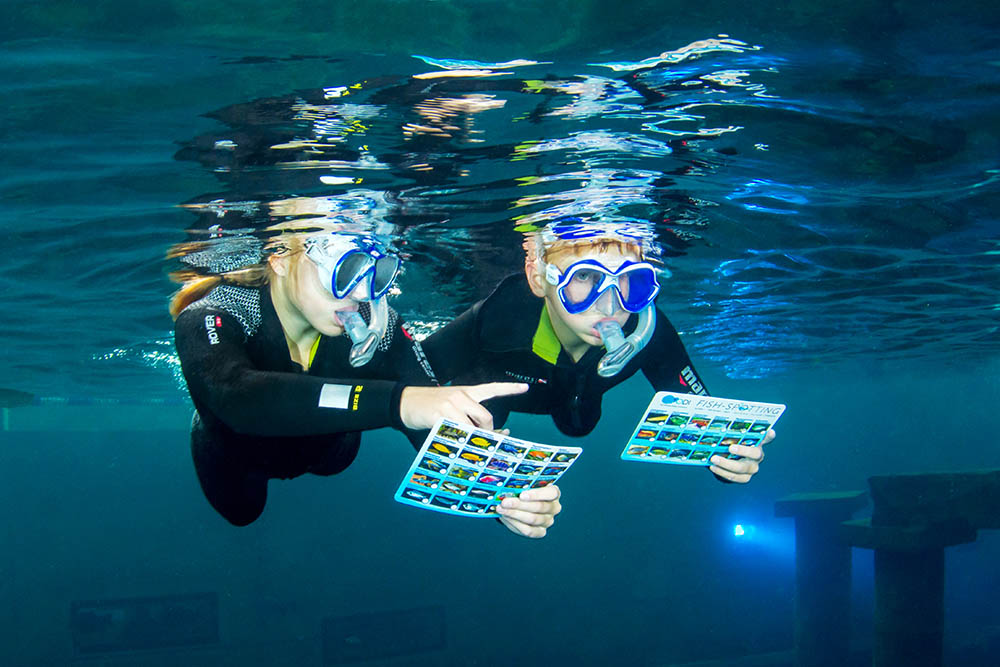 Todi The ultimate diving experience in Belgium Discover Benelux