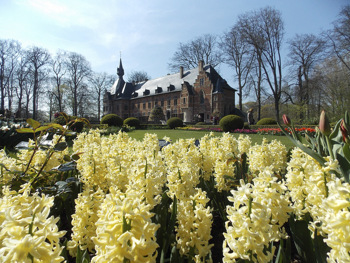 Tulip fever in Floralia