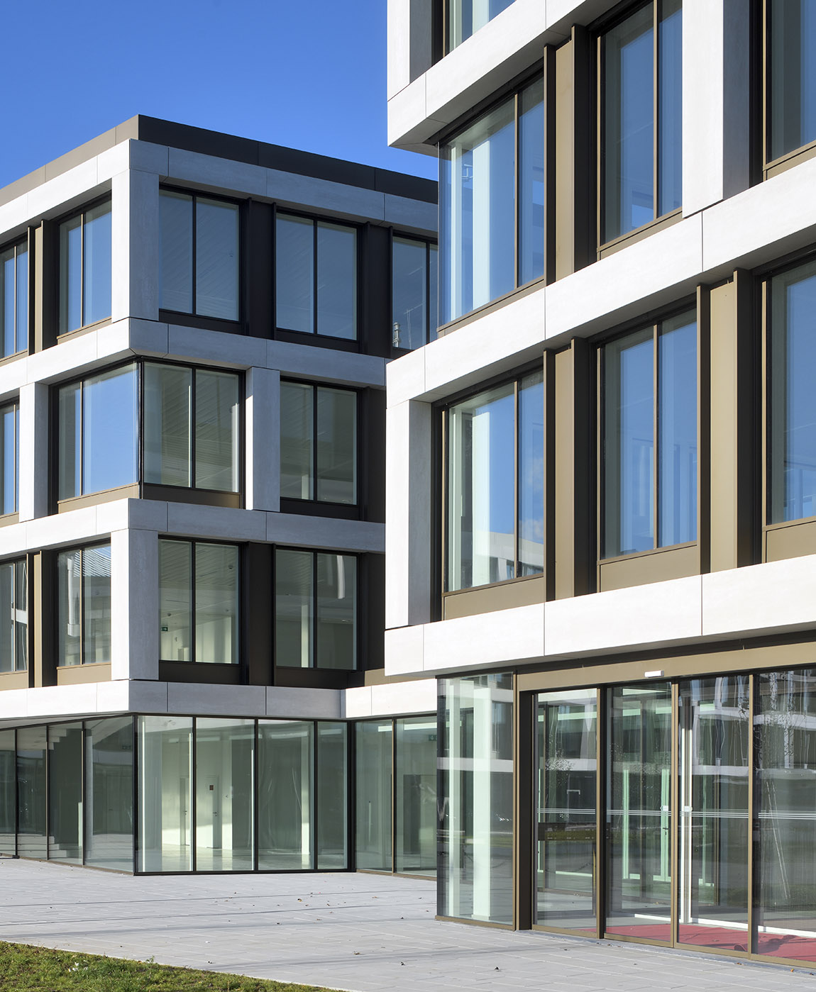 Fidentia: From grey to green