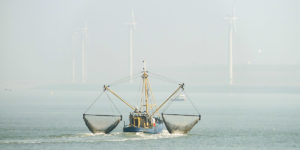 Zeeland’s seafood delights