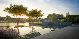 Erik van Gelder: Gardens that dreams are made of