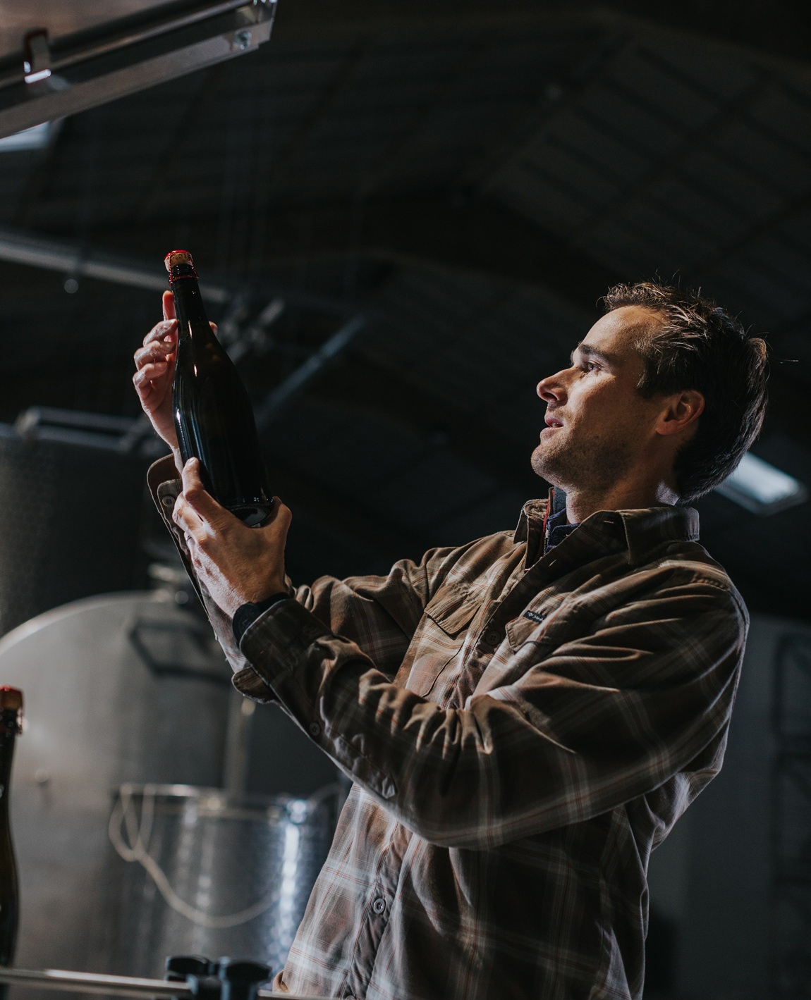 Explore exceptional wines and top vineyards in Flanders