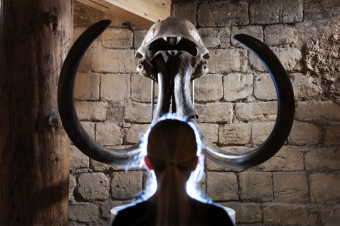 Crafting beers within Ypres’ ancient city walls Offerings to the river: Roman treasures at Museum De Bastei