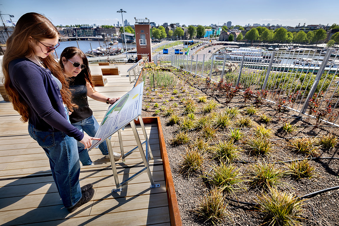 New rooftop square with a green space. Photo: DigiDaan | Reimagining NEMO’s rooftop: where science meets nature in Amsterdam