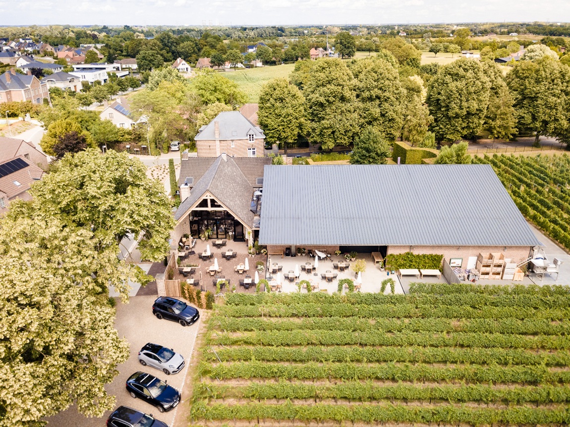 Photo: Wijndomein Aldeneyck | Explore exceptional wines and top vineyards in Flanders