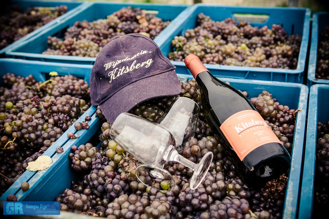 Photo: Wijndomein Kitsburg