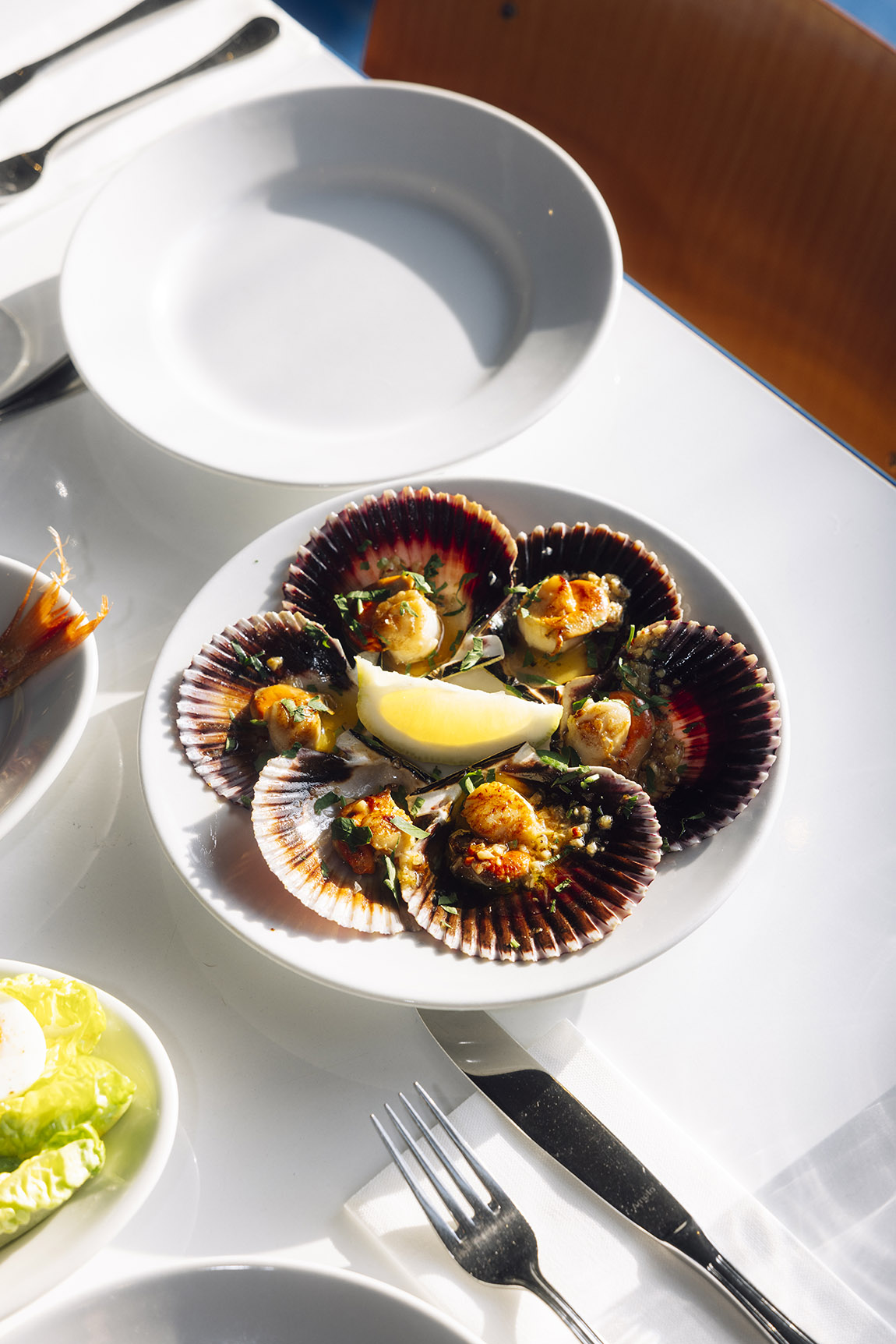 Barracuda: Fresh seafood, bold spirit in Amsterdam-North