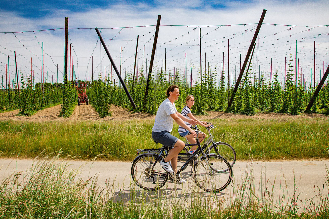 Photo: Jan D’Hondt | Pure craftsmanship and hop devotion in Flanders