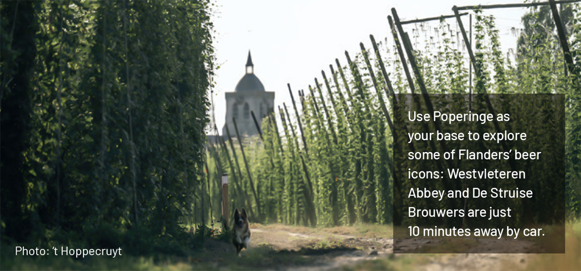 Pure craftsmanship and hop devotion in Flanders