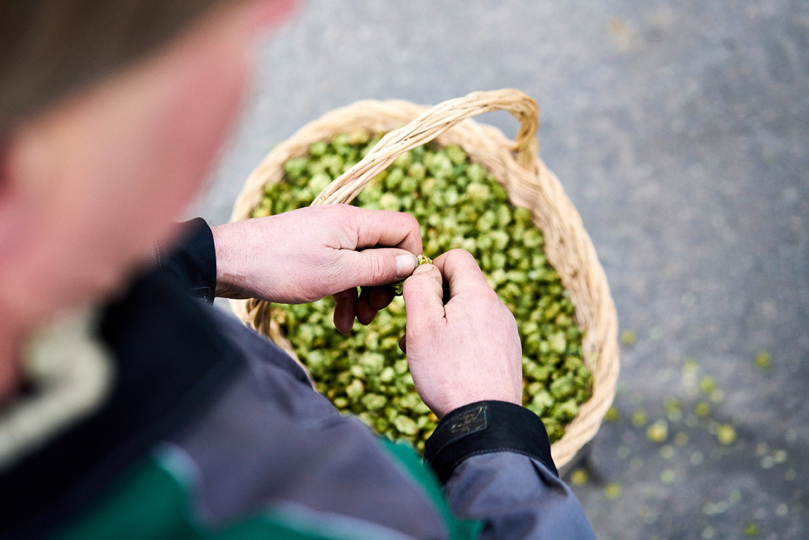 Photo: Visit Flanders | Pure craftsmanship and hop devotion in Flanders