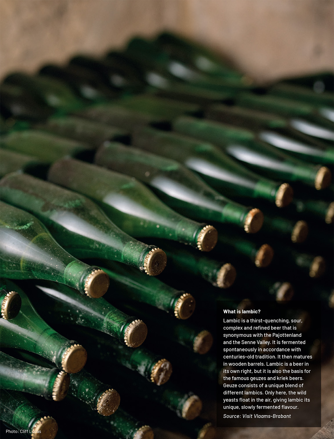 Pure craftsmanship and hop devotion in Flanders