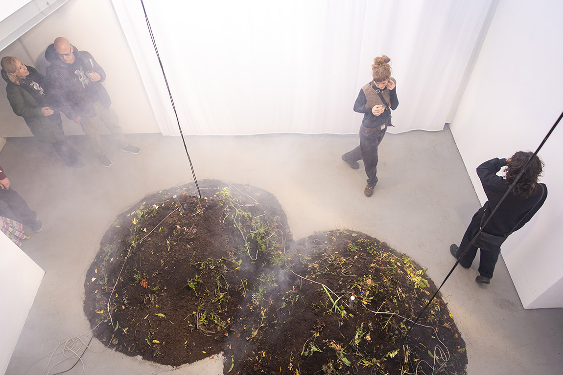 Jenna Sutela’s first solo exhibition ave bossa, bow ole. | Stroom Den Haag: Explore art in The Hague