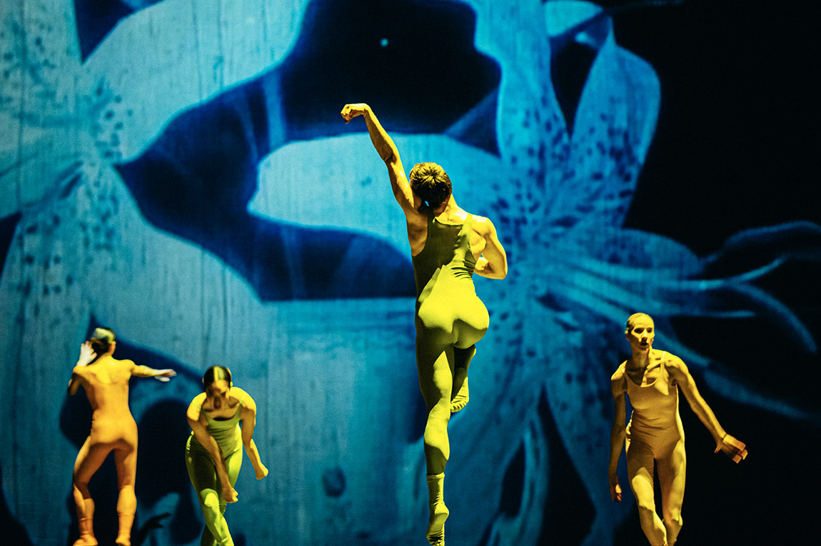 KID IN A CANDY SHOP. | Nederlands Dans Theater (NDT): World-class dance, right from The Hague