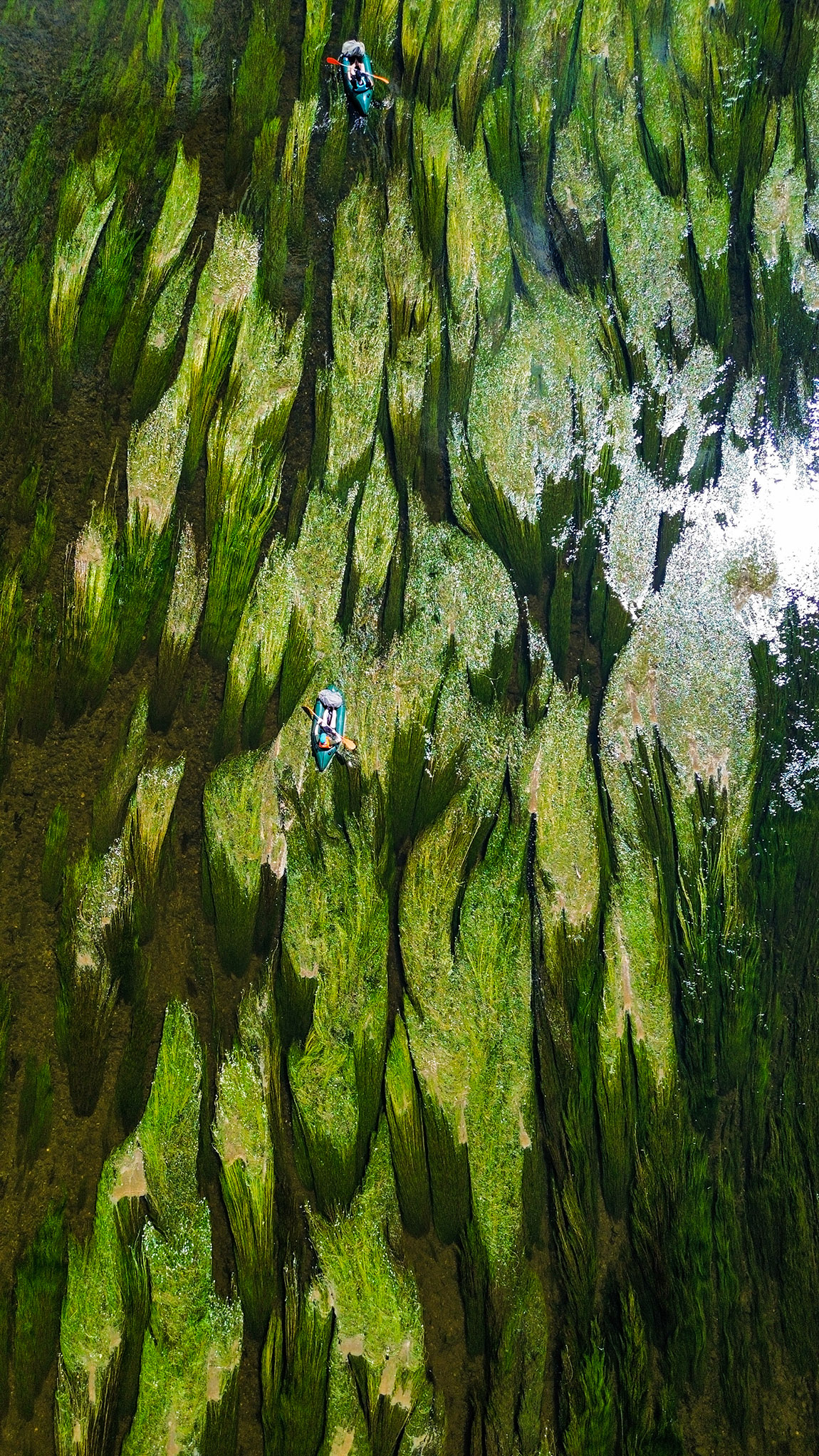 Travelbase: Unlock your adventure: Once-in-a-lifetime travel experiences await